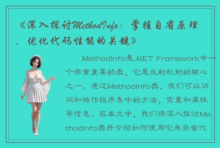 《深入探讨MethodInfo：掌握自省原理，优化代码性能的关键》